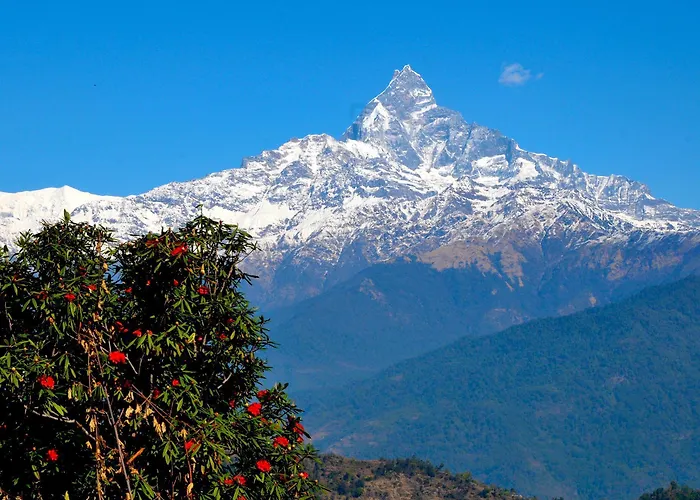 Himalayan Deurali Resort