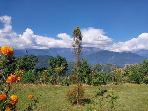 Himalayan Deurali 4*