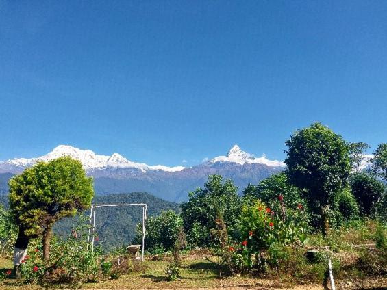 Himalayan Deurali Resort